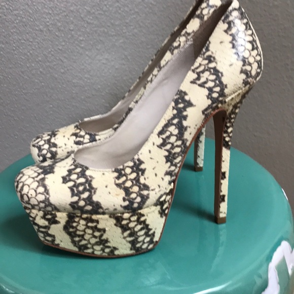 Alice and Olivia Snake Skin Heels! - Picture 2 of 6